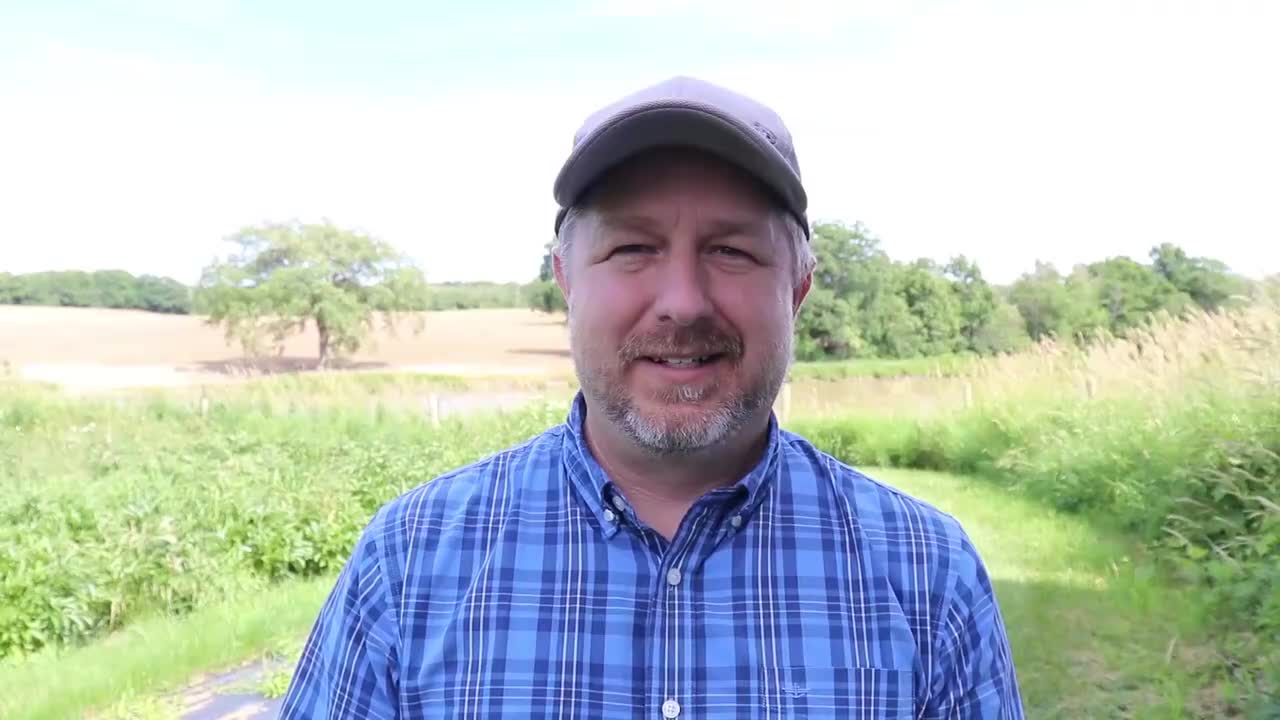 61.[20190702] Learn English Words with th...