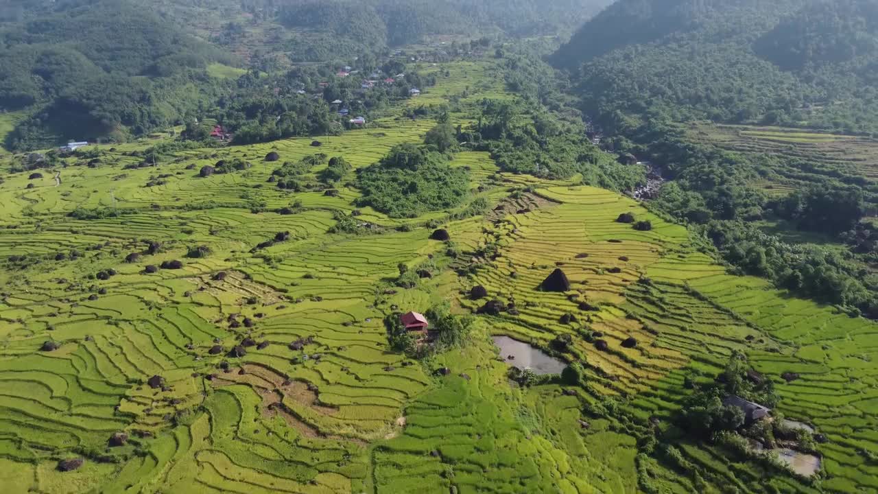 梯田 合集二 #4232