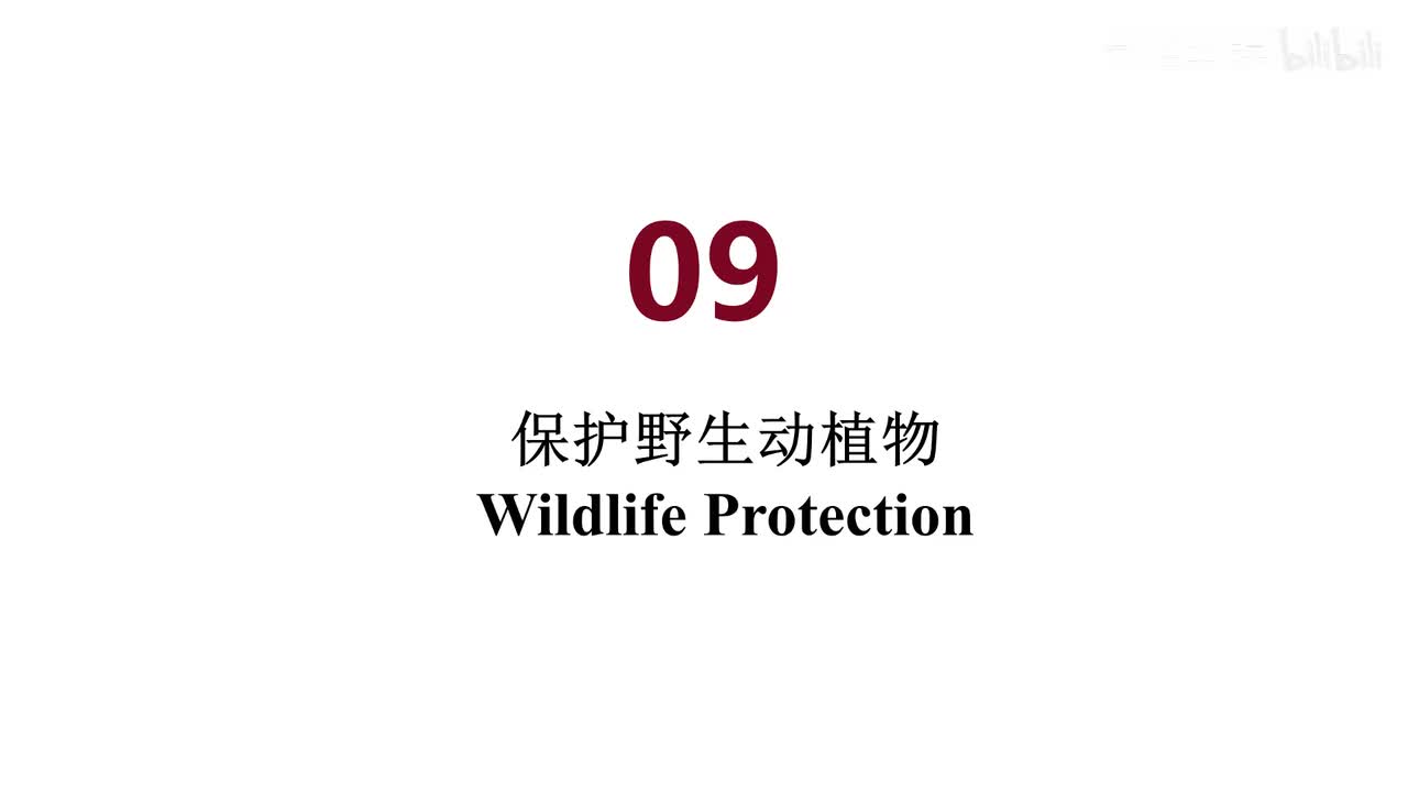 英音 09 Wildlife Protection