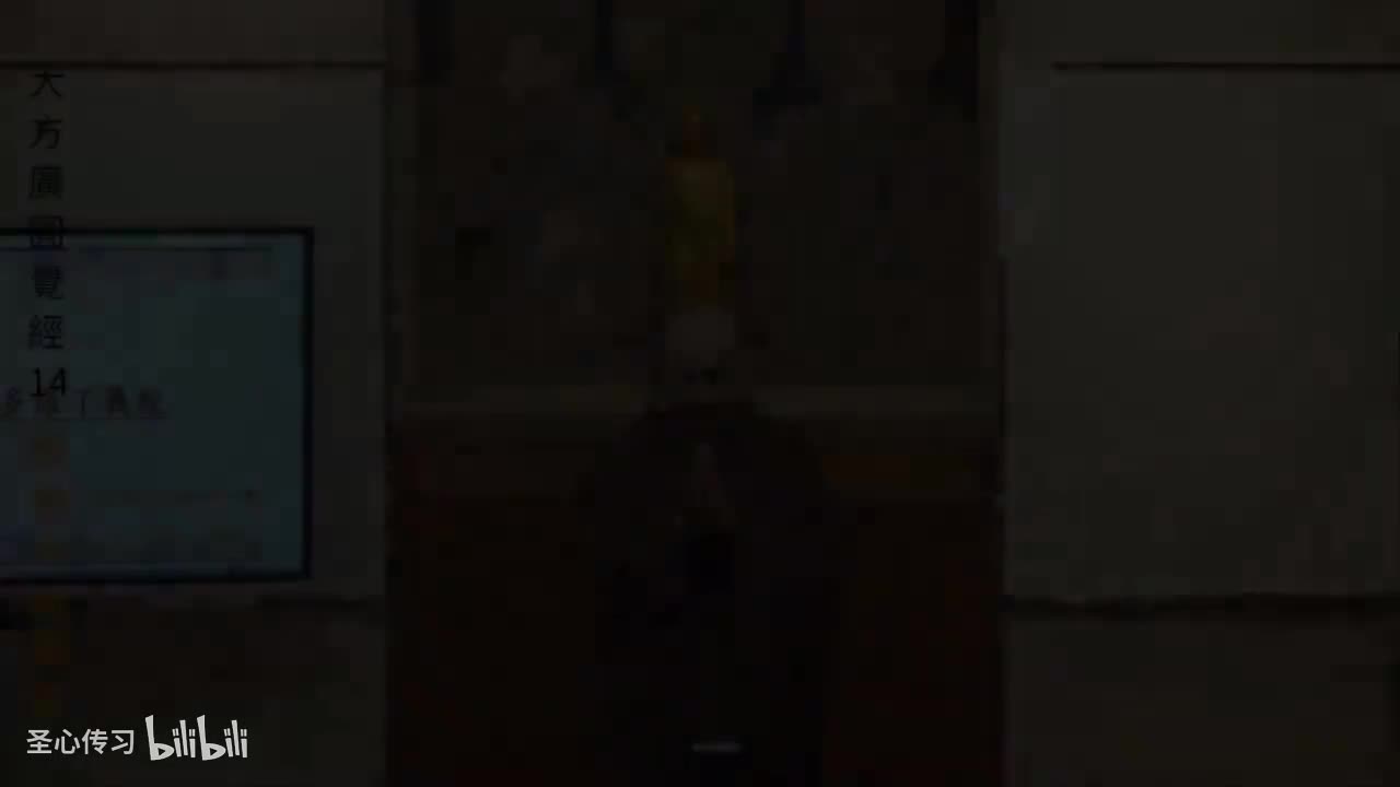 《大方广圆觉经》第14集