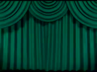 31 卡诺瓦猫Casanova Cat