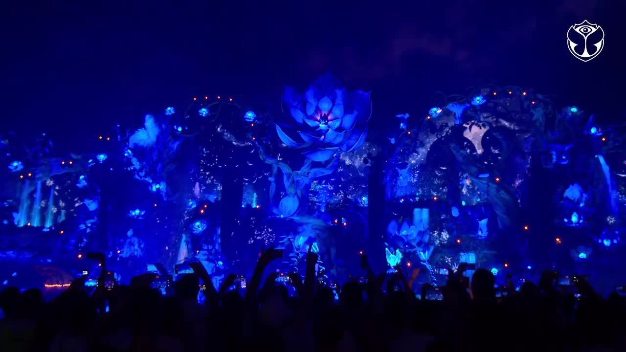 Dimitri Vegas & Like Mike W2第二周
