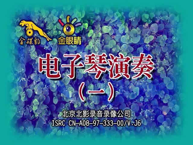 电子琴演奏（一）