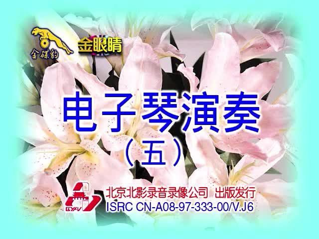 电子琴演奏（五）