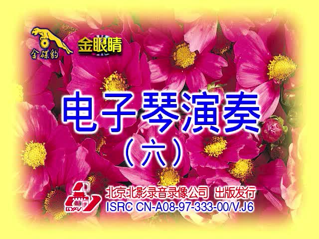 电子琴演奏（六）