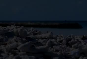 滚滚长江东逝水