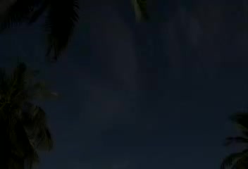 在那桃花盛开的地方