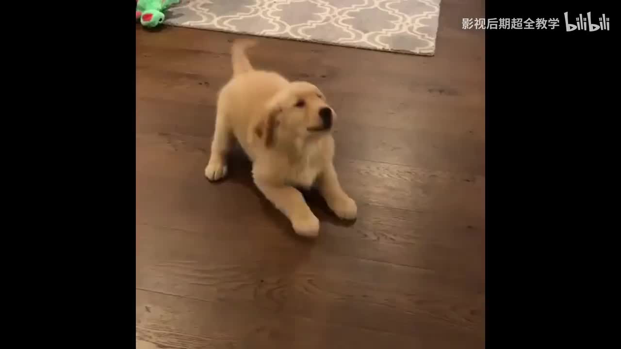 10.【技巧篇】音乐萎靡音制作