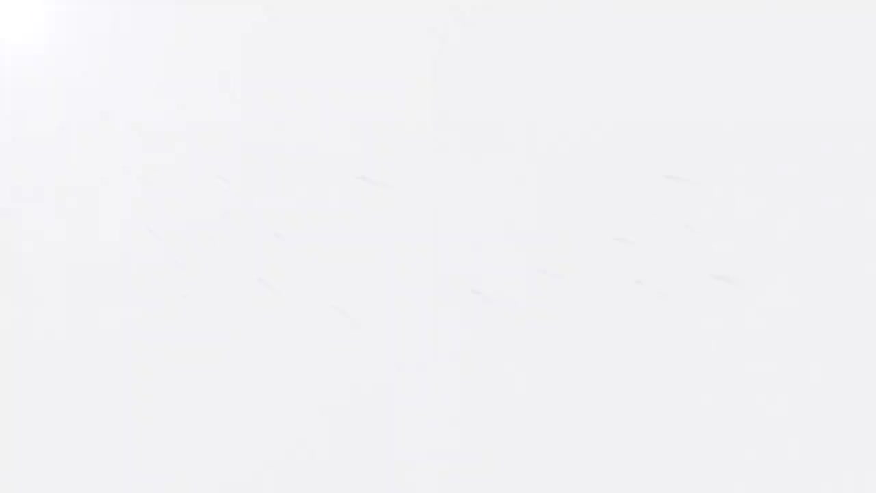 10、第四章 第一节 各系统结构、功能与衰老表现2