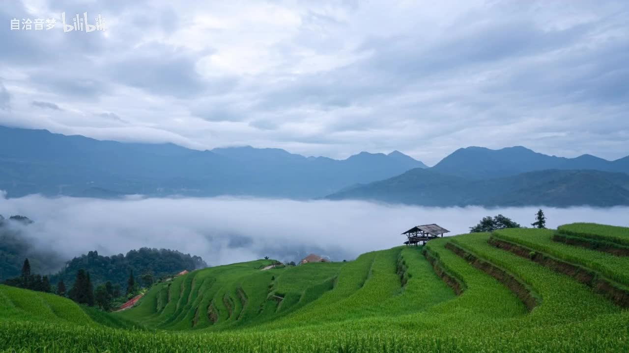 Michael Jackson_Gone Too Soon