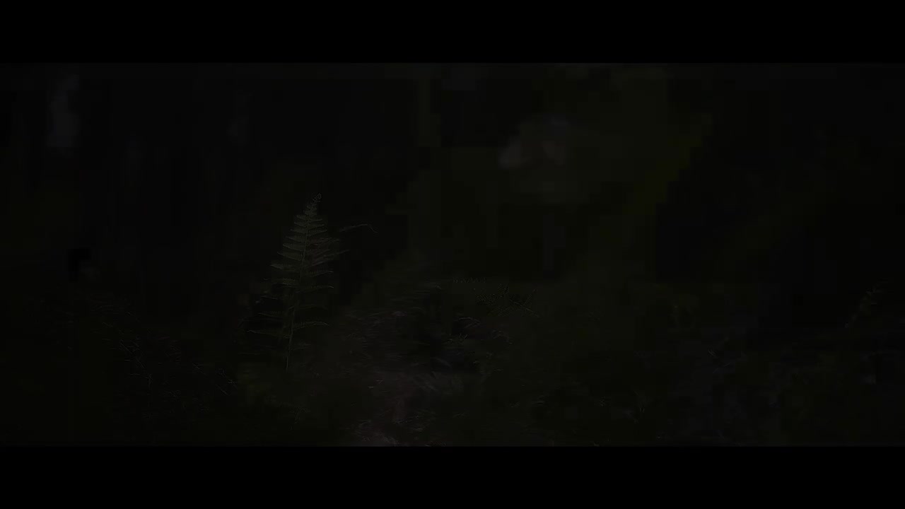 【TF家族练习生】《肆意生长》见面会舞台篇DAY1上半场