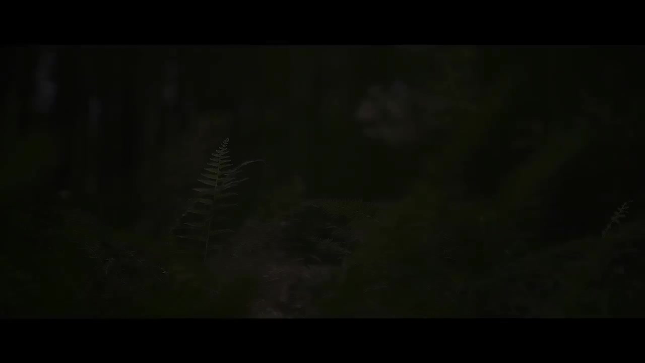 【TF家族练习生】《肆意生长》见面会舞台篇DAY2上半场