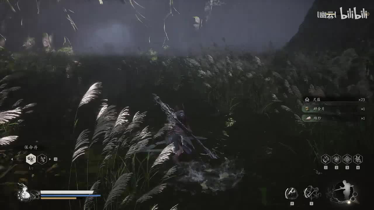 第一章 头目 波里个浪