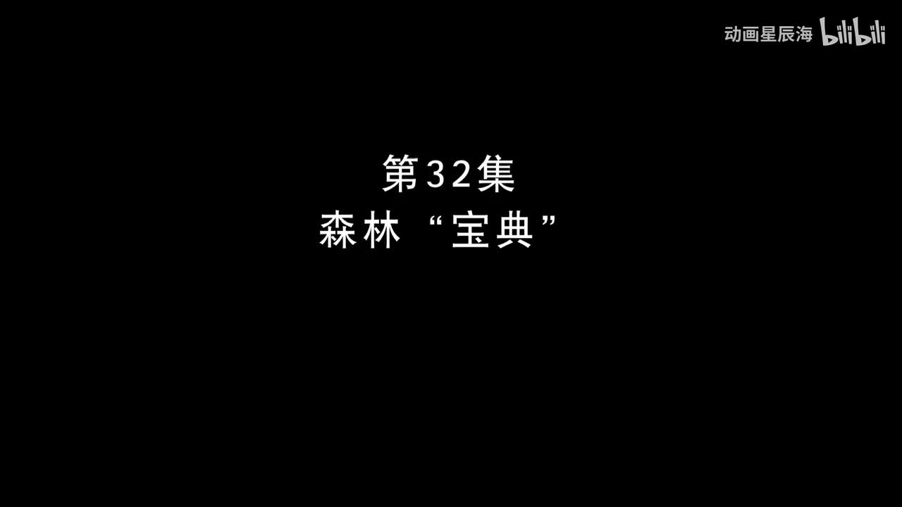 32：森林“宝典”