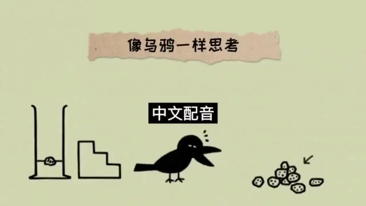 014.中文配音 完整版《像乌鸦一样思考》 第十四集