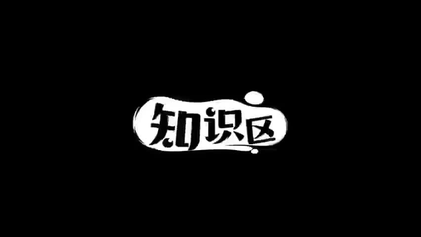 IELTS听说读写 (20)