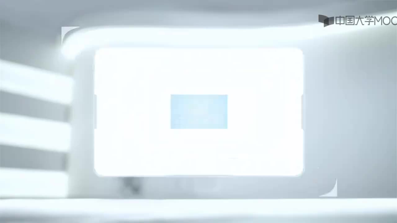 图 8-5 微丝的成核与加帽