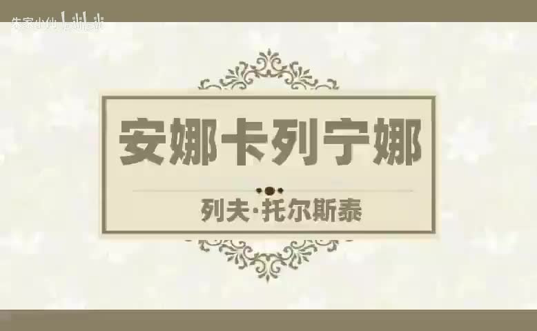 安娜卡列宁娜 (11)