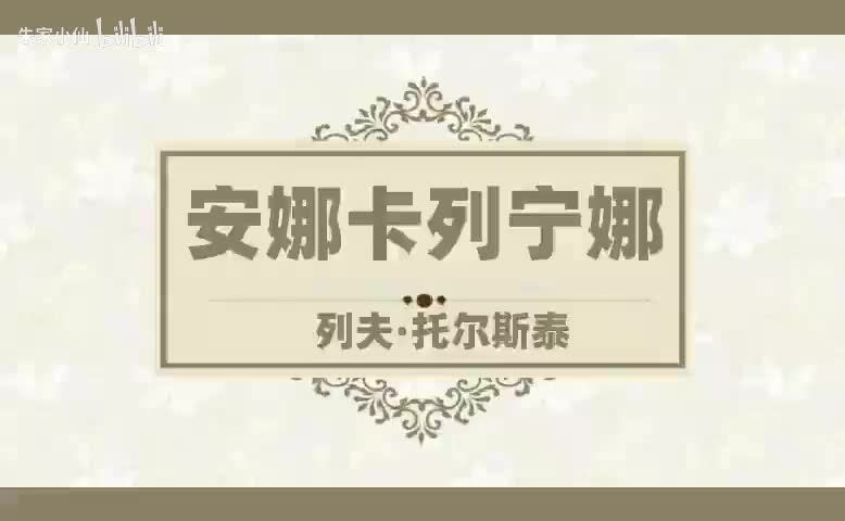 安娜卡列宁娜 (6)