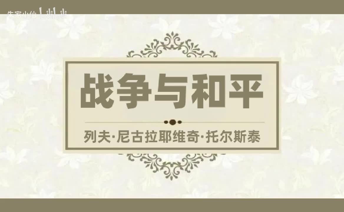 战争与和平 (14)