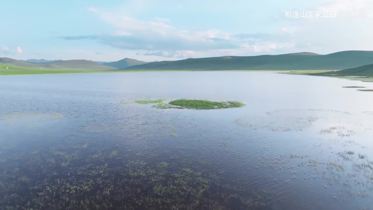《湿地·奇妙的生命之源》下