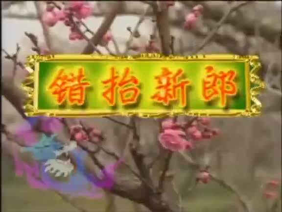 安徽地方戏曲黄梅戏《错抬新郎》全剧_高清