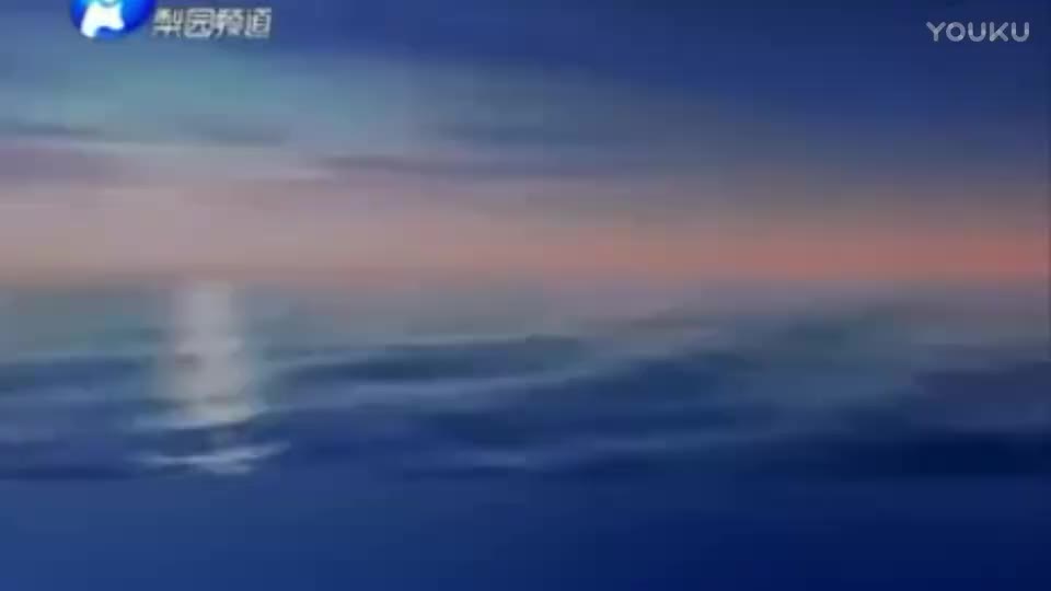 .河南坠子【刘云打母】胡中花●★EVD-——————————豫剧 歌曲 琴书 民间小调 大鼓书 山东梆子 道情 越调 二夹弦 曲剧_高清