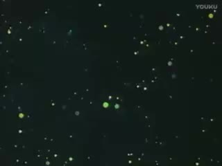 捕房节夫