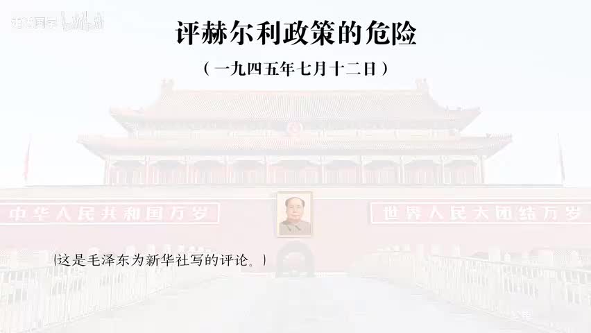 29-评赫尔利政策的危险