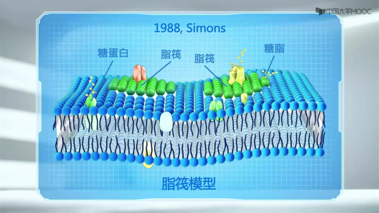 图 3-3 细胞质膜的脂筏模型示意图