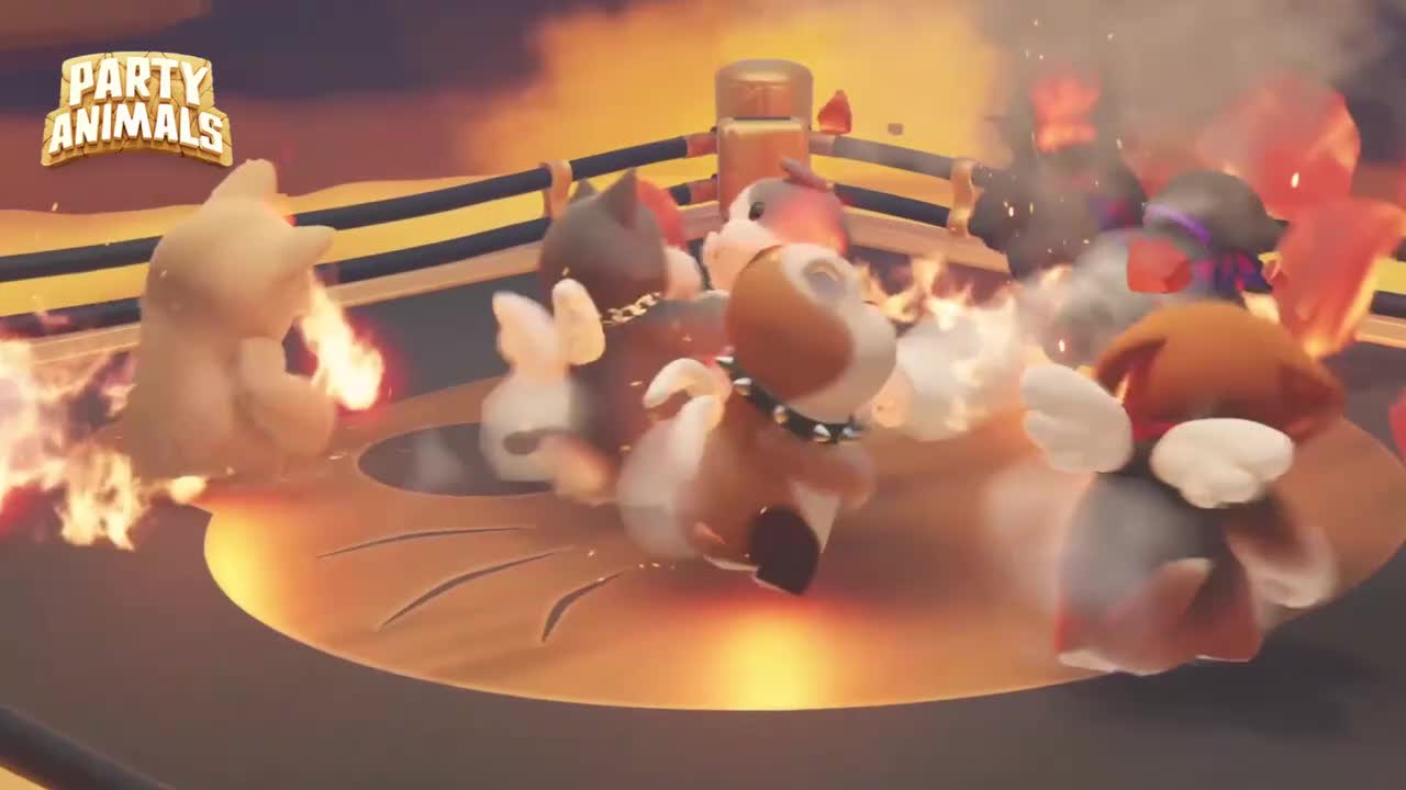 【生存赛】加肥擂台