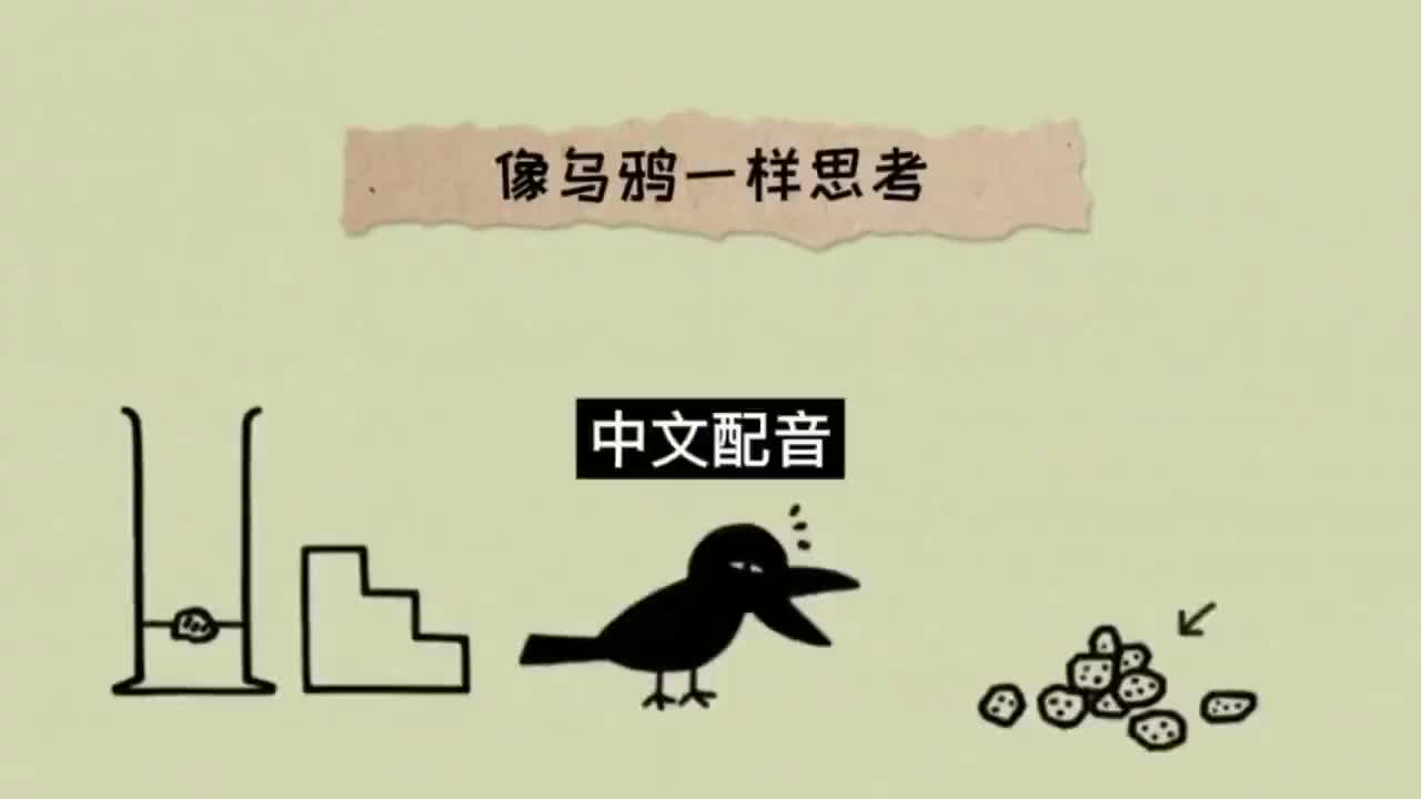 020.中文配音 完整版《像乌鸦一样思考》 第二十集