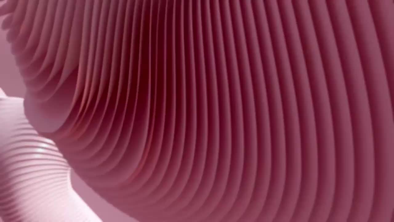 PG44L（情绪不安及裸露）紧急救援 20241001_085957