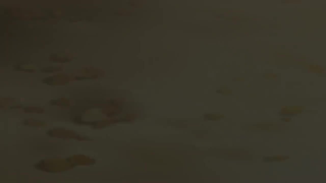 ED31: GO YOUR OWN WAY / 滴草由实