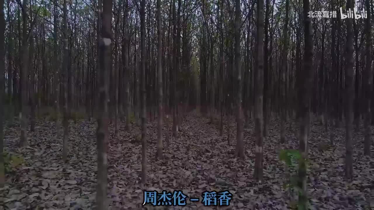 11.稻香 - 周杰伦