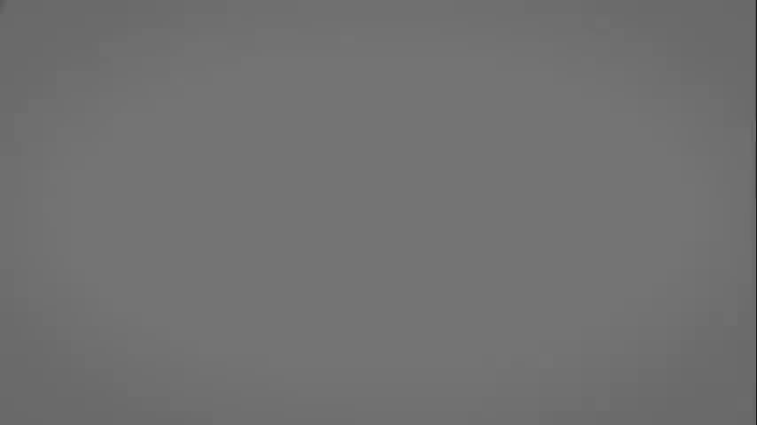 毗婆沙宗5：事的分类（上）