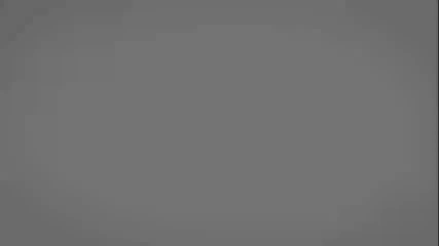 毗婆沙宗3：历史上的毗婆沙宗