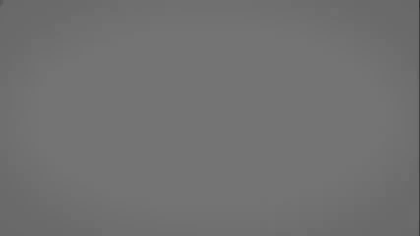 中观宗总论4：早期中观派主要人物（中）