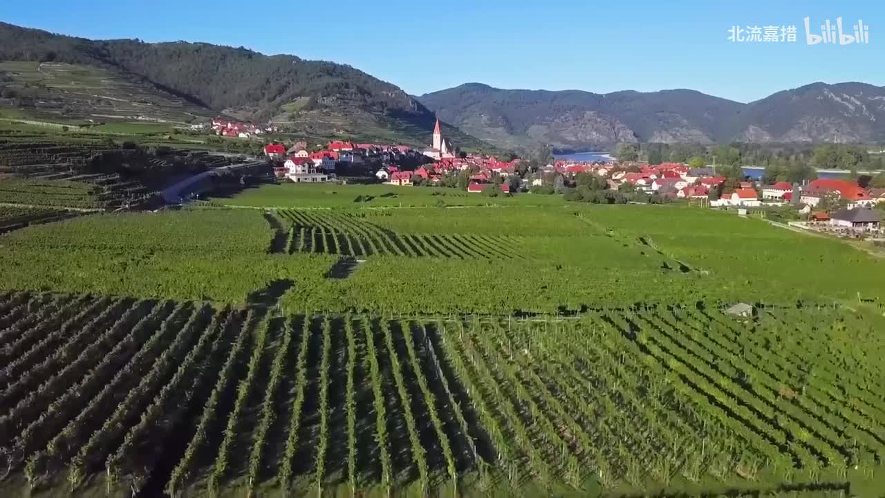 02.爱情转移 - 陈奕迅