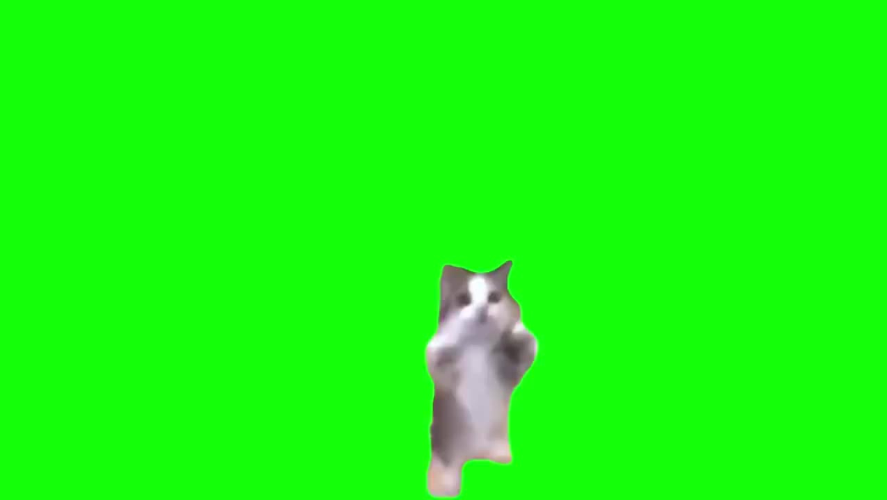 Happy猫（有声）