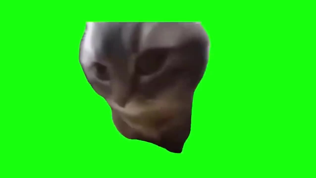 劲爆摇头小猫（有声）