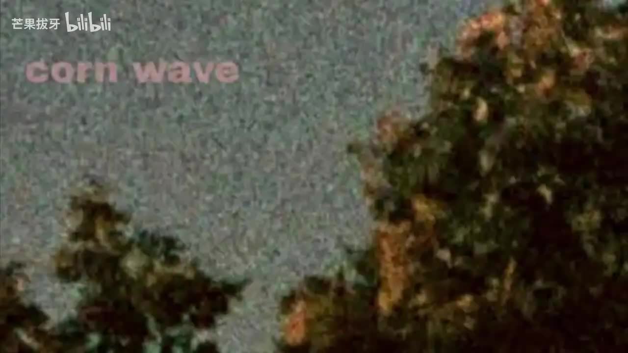 манго нектар（芒果花蜜）-无贝斯伴奏