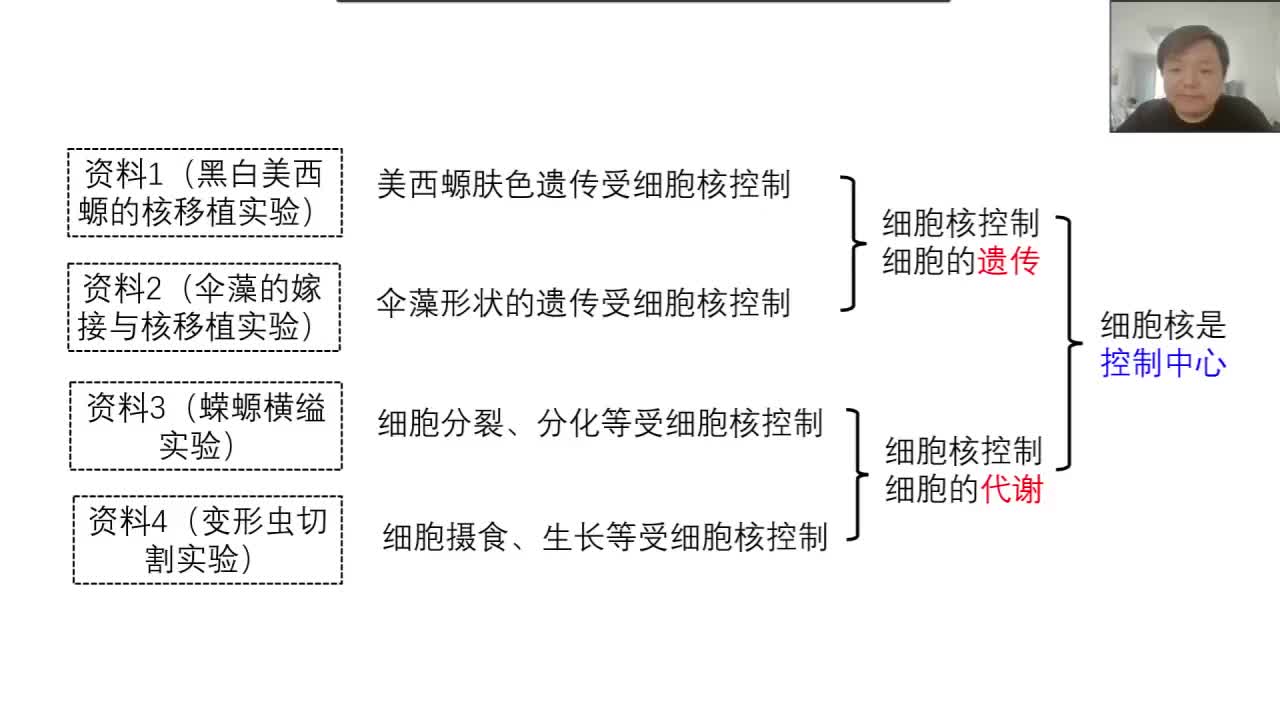 必修1第三章第3节：细胞核（3-2）细胞核的结构