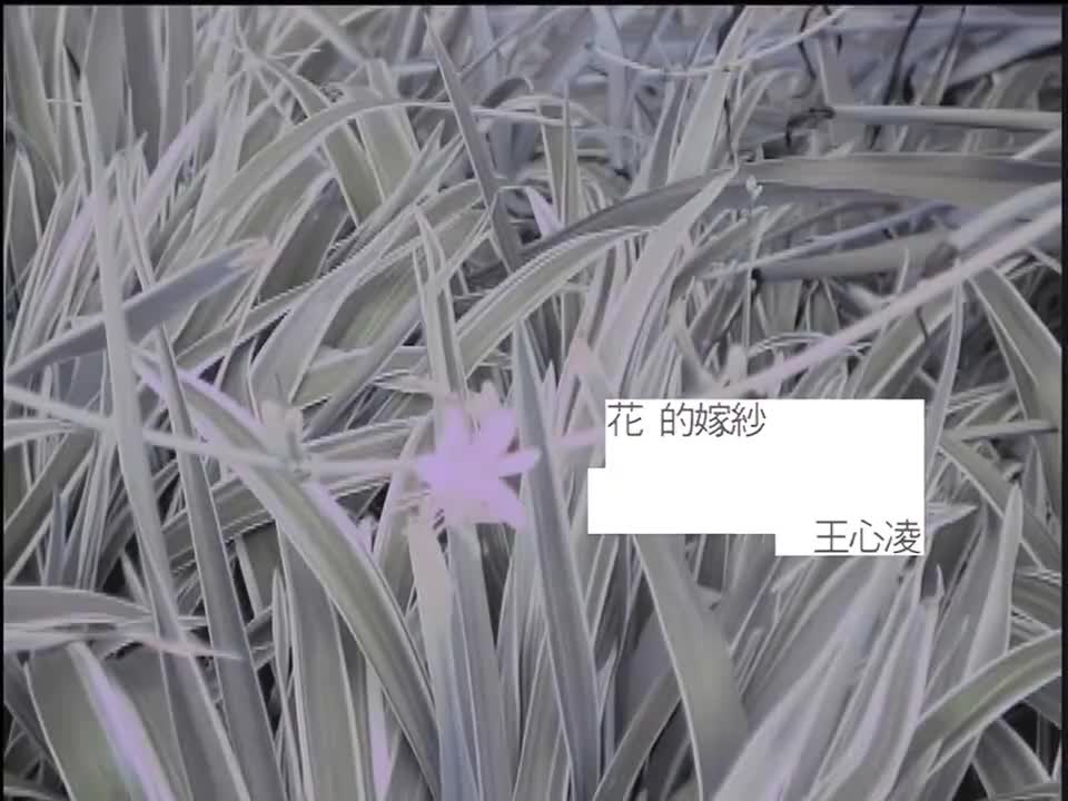 99. 【1080P修复】王心凌 - 花的嫁纱(电视剧《天国的嫁衣》主题曲)MV 修复版