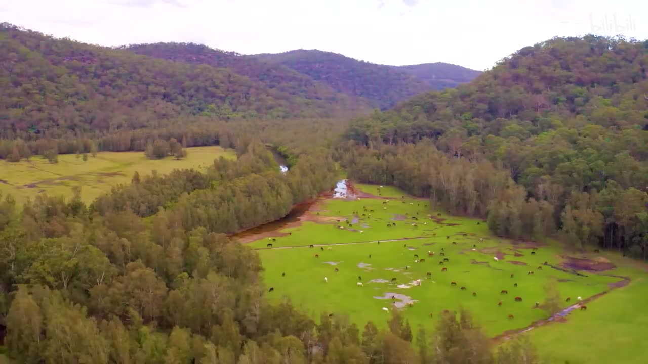 拉赫玛尼诺夫 第一双钢琴组曲, Op. 5 船歌 第一乐章 - 秋琴紫若