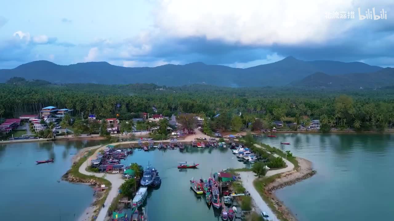 天鹅湖组曲, Op. 20a 天鹅湖主题一 (为钢琴而作) - 淑清