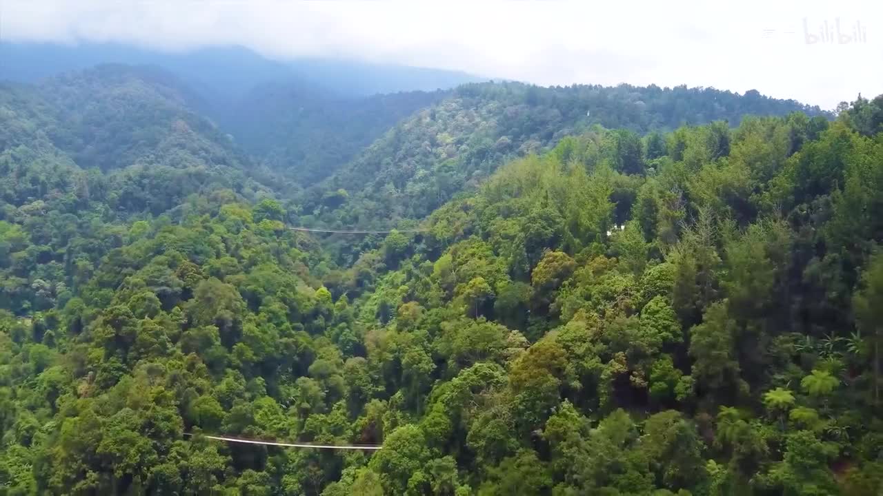 Nocturnes, Op. 9No. 2 in E-Flat Major - Luke Faulkner (1)