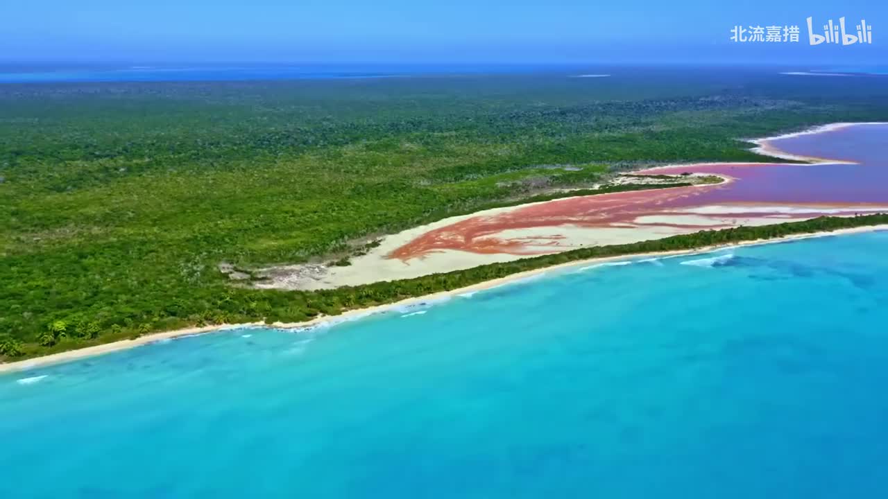 贝多芬 F大调第二小提琴, Op. 50, No. 2 浪漫曲 (秋琴紫若为钢琴而作) - 秋琴紫若