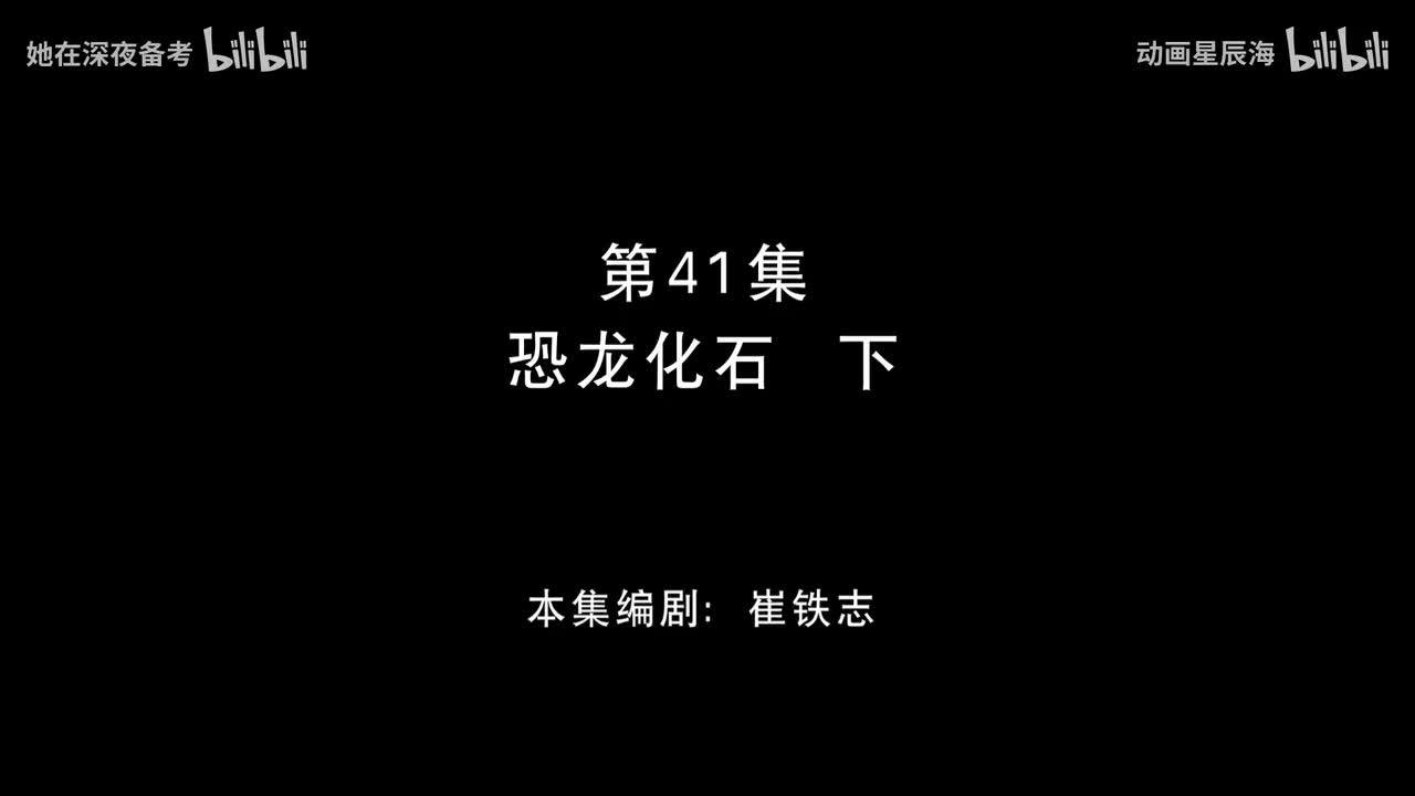 41：恐龙化石 下