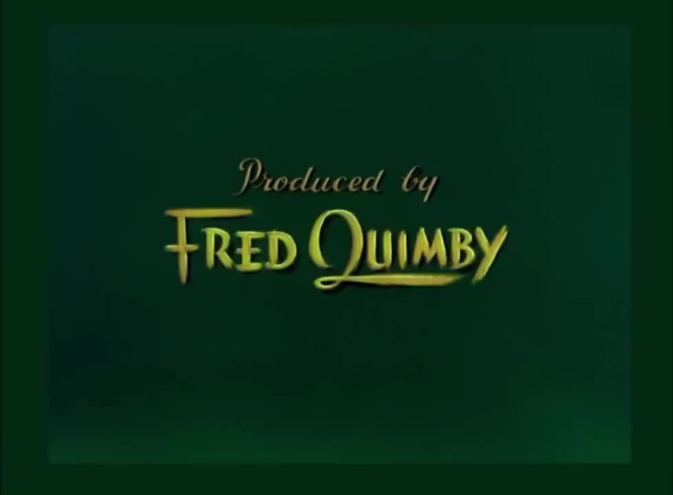 068.小海豹失踪记-Little Runaway